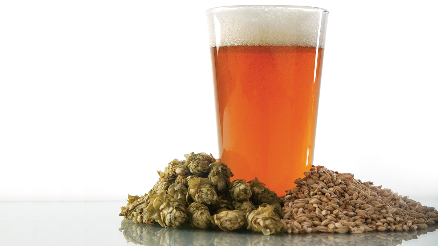 The Top 10 IPAs at CB&B Craft Beer & Brewing Magazine