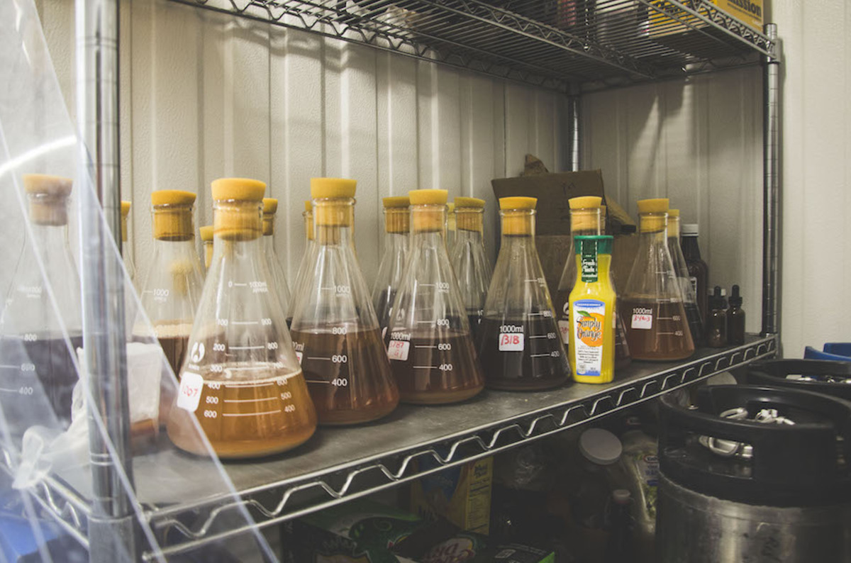 Homebrew From Beginner To Advanced (Guide) Craft Beer & Brewing